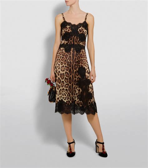 dolce and gabbana animal print.